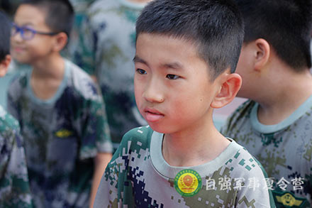 毛毛蟲大(da)戰
